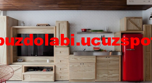 Temiz 5 aylık kırmızı buzdolabı sahibinden ucuz